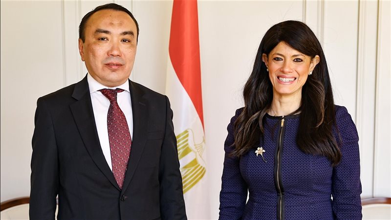 الدكتورة رانيا المشاط