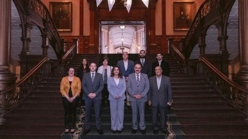 منال عوض، فيتو