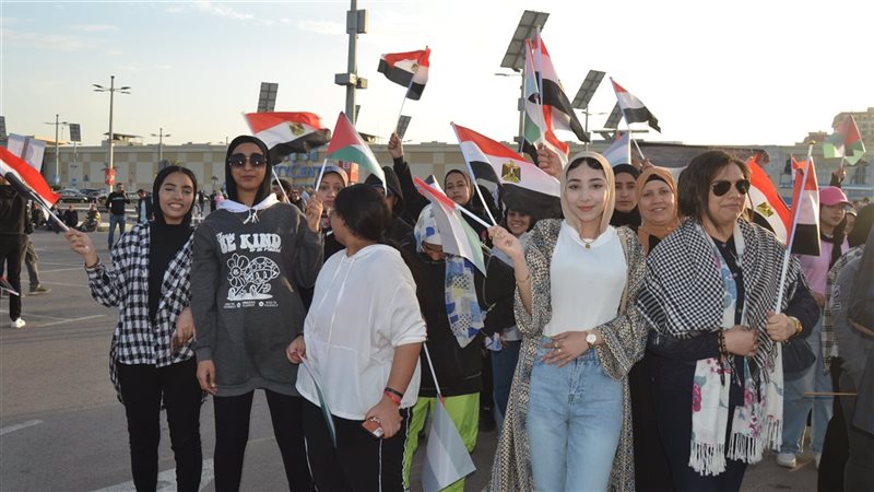 الإسكندرية 