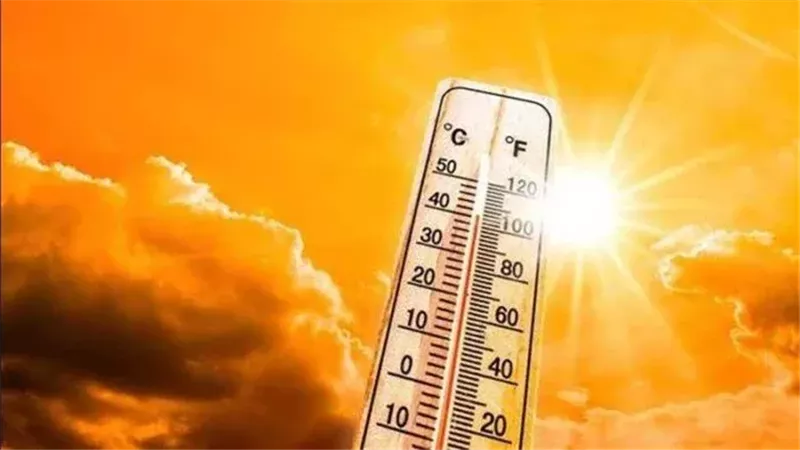 حالة الطقس، فيتو