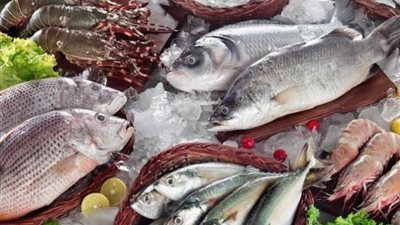  أسعار السمك اليوم، البلطي يواصل قفزاته والمكرونة بـ 150 جنيها