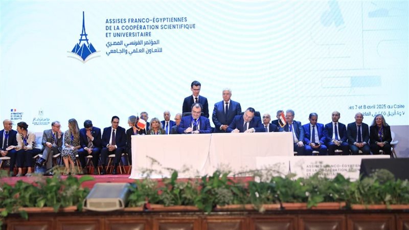 الإسكندرية 