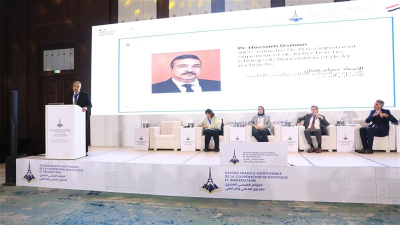 الملتقي الفرنسي المصري،
