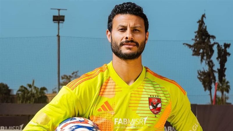 محمد الشناوي 