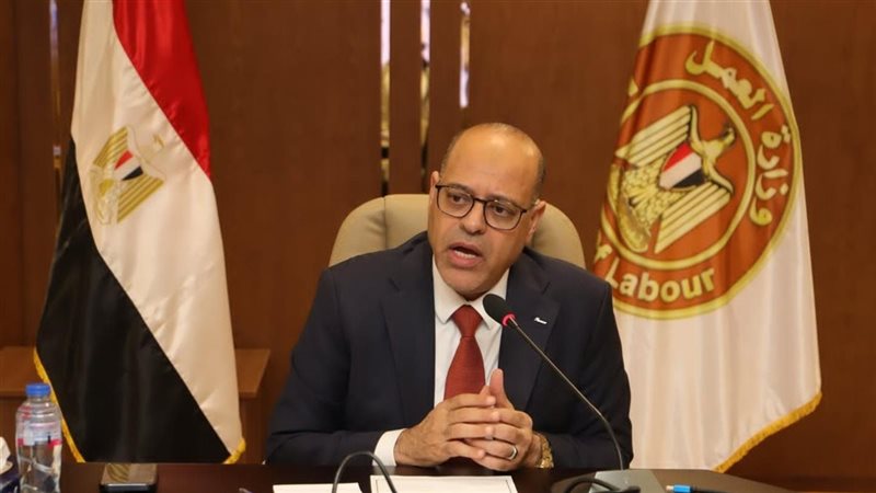 وزير العمل ،فيتو