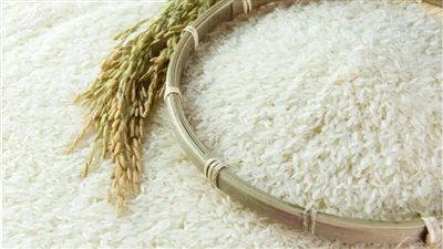 سعر الأرز الشعير عريض الحبة يسجل 18.4 ألف جنيه