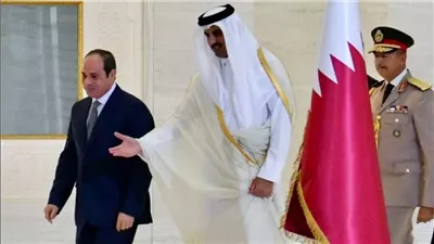 أهم 5 سلع صدرتها مصر إلى قطر خلال عام 2024 (إنفوجراف)