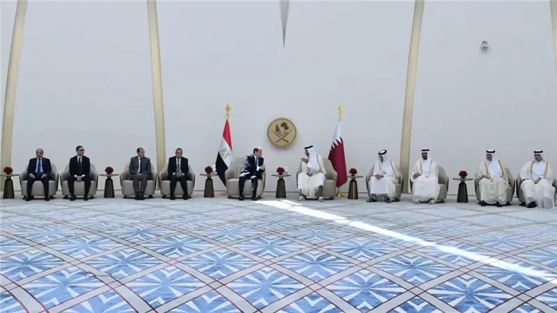 الرئيس السيسى وامير