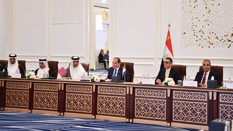 لقاء الرئيس السيسي