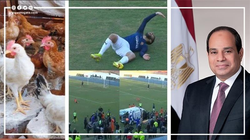 أخبار مصر، فيتو