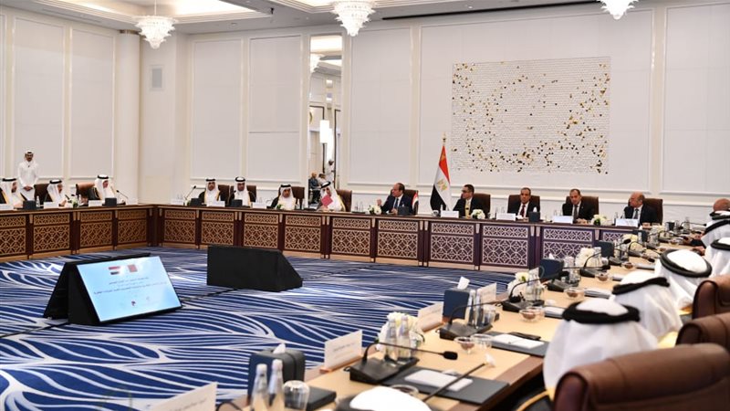 لقاء الرئيس السيسي