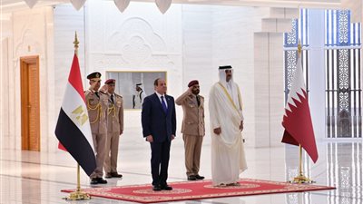 مصر وقطر تؤكدان أهمية الوقف الفوري للعمليات العسكرية ودعمهما لكل مبادرات إنهاء النزاع