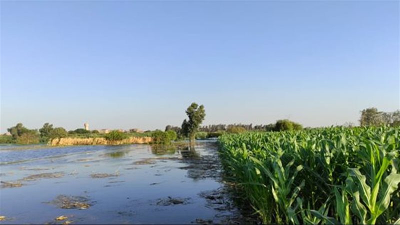 فيضان النيل يقترب