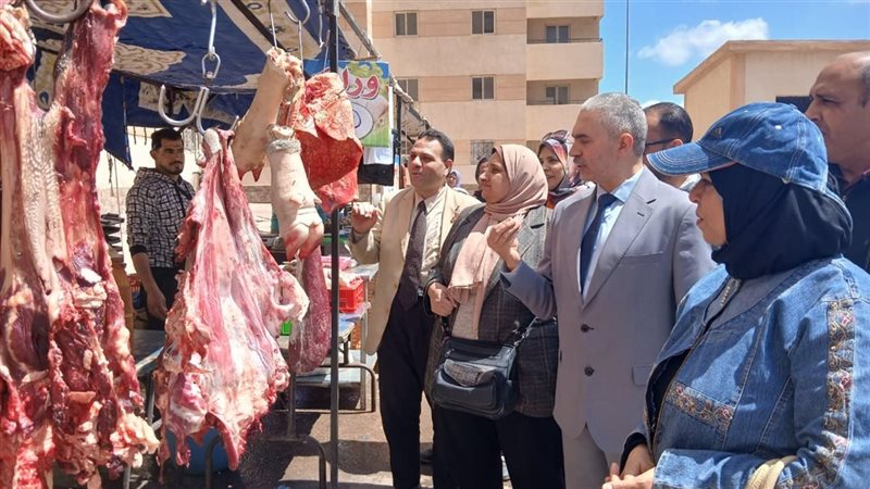 تموين الإسكندرية