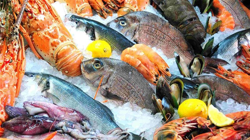 أسعار السمك اليوم،