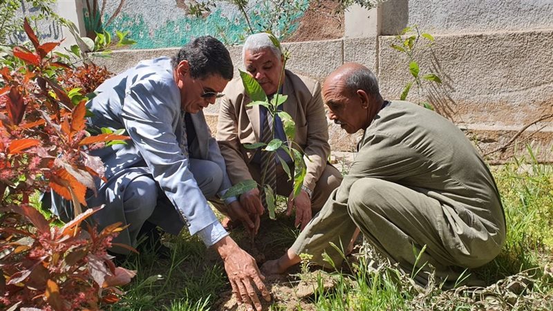 مبادرة جديدة لتشجير