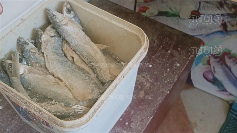 ضبط ملوحة فاسدة 