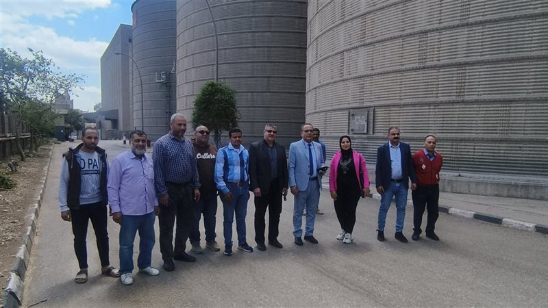 موسم توريد القمح