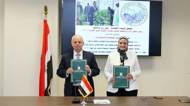 المهندسة مني رزق
