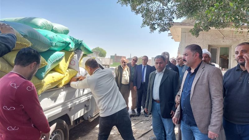 موسم توريد القمح
