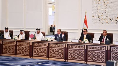 السيسي يقود جهود جذب استثمارات جديدة.. الرئيس يدعو رجال أعمال إسبانيا وفرنسا وإيطاليا وقطر والكويت لزيادة حجم استثماراتهم.. والاستفادة من المزايا والفرص المتاحة في مصر