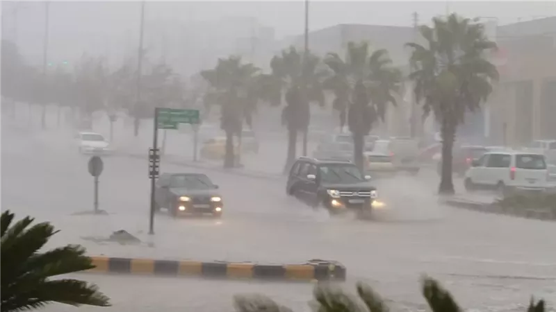 حالة الطقس غدا، فيتو