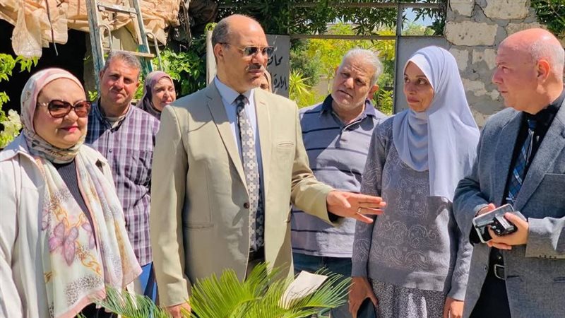 تعليم الإسكندرية
