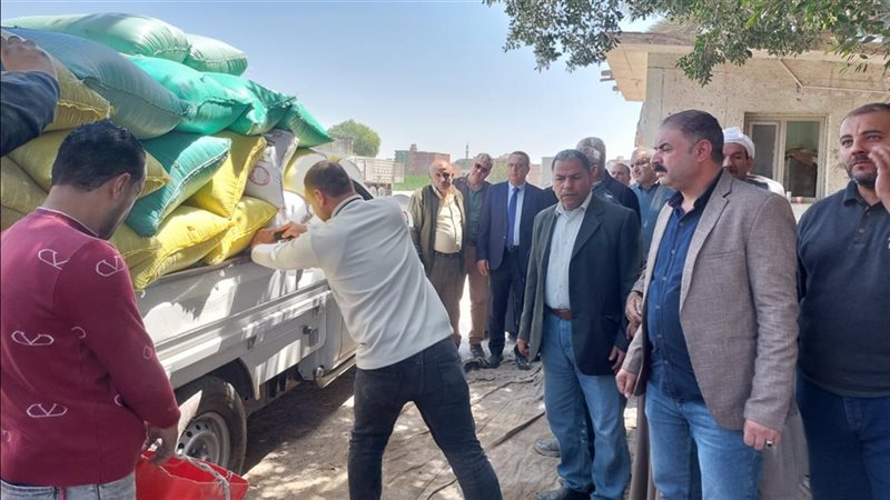 توريد القمح لصوامع