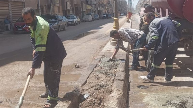 حملات نظافة بالدقهلية،