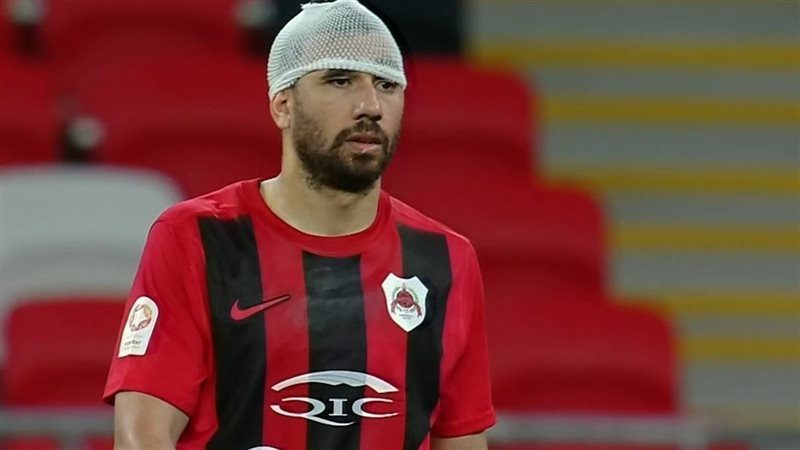 تريزيجيه،فيتو