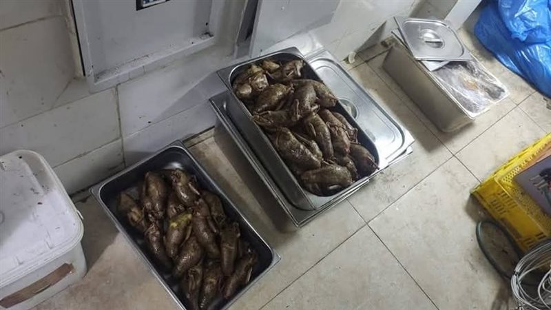 لحوم غير صالحة خلال
