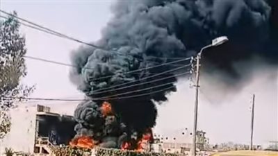السيطرة على حريق بشجرة ضخمة على طريق العواونة ببني سويف