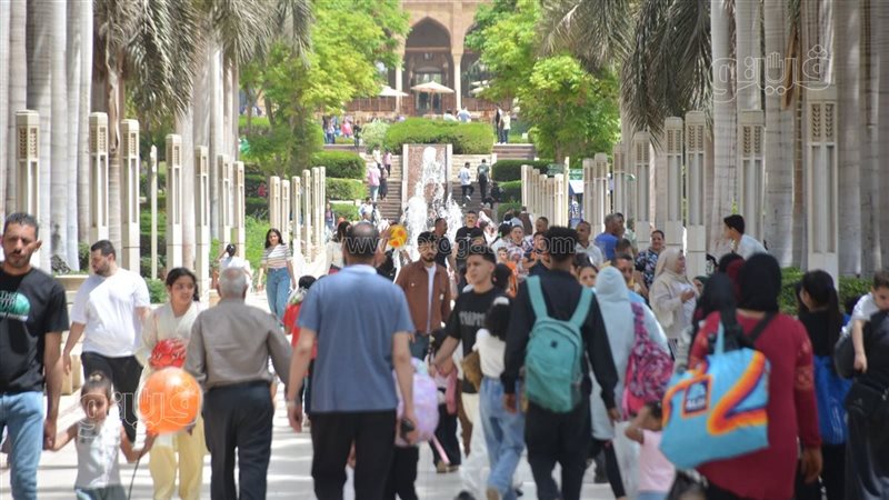 الطقس، فيتو