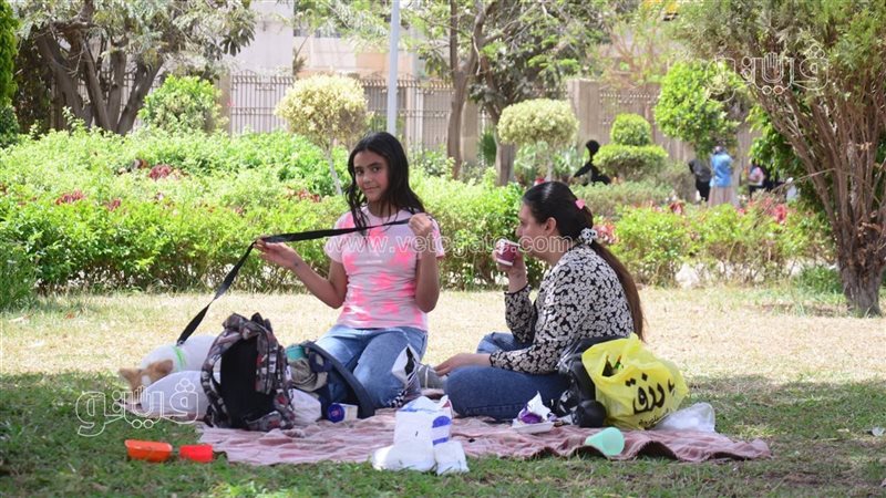 احتفالات الأسر المصرية