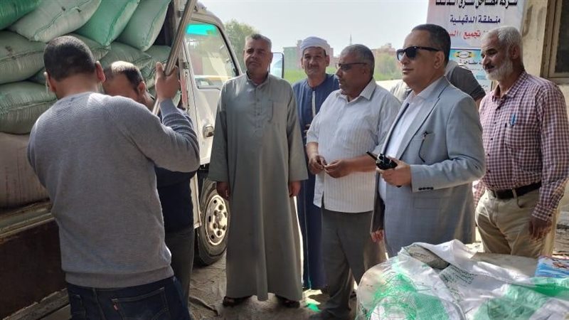 توريد القمح بالدقهلية،