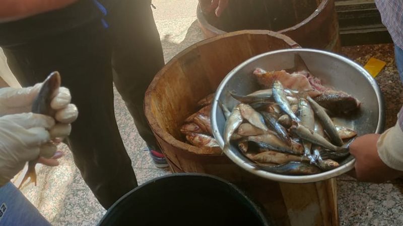حملات تموينية، فيتو