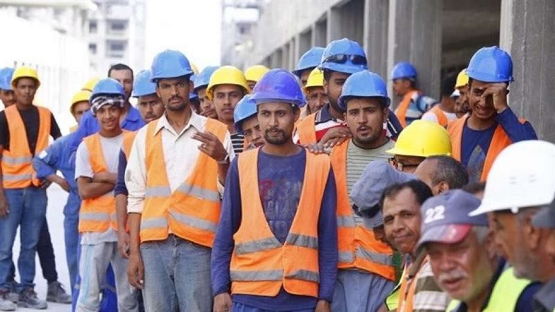 العاملين بالقطاع