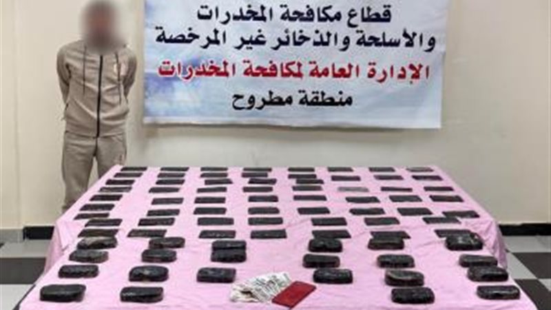 ضبط عناصر إجرامية