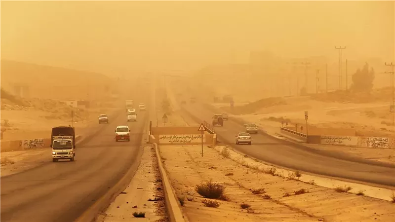 الطقس، فيتو
