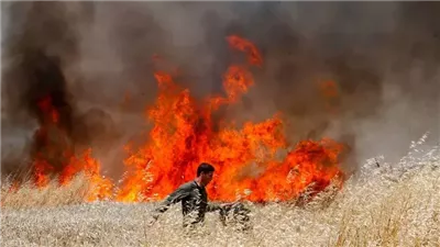 الطبيعة تثأر من الاحتلال، اندلاع حرائق هائلة بمدن إسرائيلية تصيب سكانها بالذعر (فيديو)