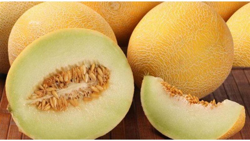 فوائد الكنتالوب