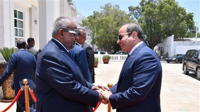 السيسي يهنئ جيبوتي لفوز وزير خارجيتها السابق بمنصب رئيس مفوضية الاتحاد الأفريقي