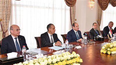 السيسي يؤكد دعم جهود تحقيق ركائز الأمن والاستقرار فى الصومال وصيانة وحدته