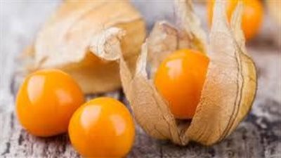 فوائد الحرنكش ينظم الهضم وينقص الوزن ويعالج التهابات الجسم