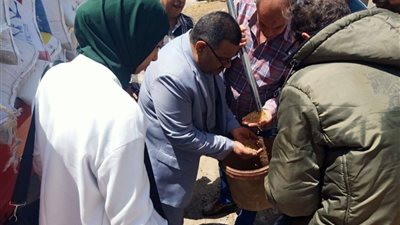 توريد 20 ألف طن قمح لشون وصوامع الشرقية منذ بدء موسم الحصاد