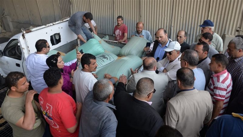 توريد القمح بالدقهلية،