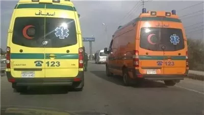 إصابة 6 أشخاص في حادث انقلاب سيارة ميكروباص على الطريق الغربي بالفيوم 