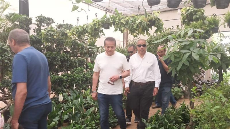 نائب رئيس الوزراء