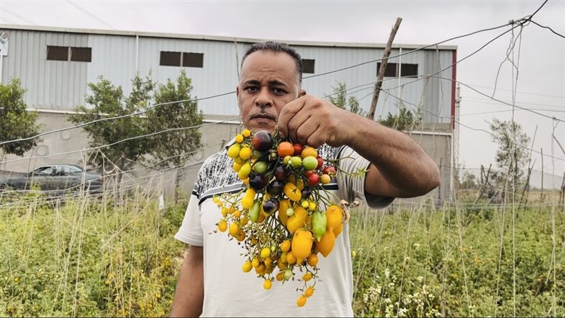عادل عتيق يزرع أنواع
