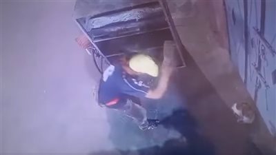 الأشغال الشاقة، قانونية تكشف عقوبة قتل الحيوانات بعد ضبط ناشر فيديو قتل هرة